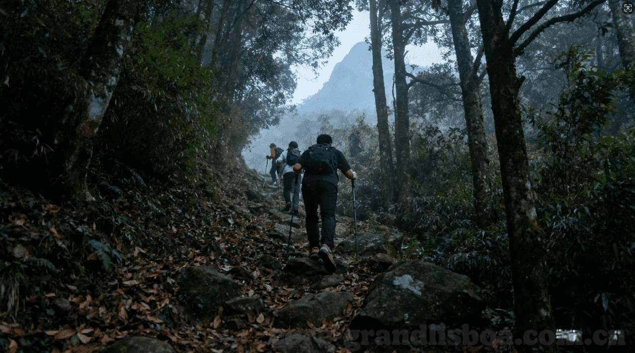 世界杯比赛胜率预测-世界杯比赛胜率预测，数据背后的博弈